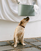 Labrador looking up at a washing basket held out of reach by Hang Easy Basket Hangers